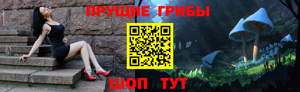 Псилоцибиновые грибы GOLDEN TEACHER Саров